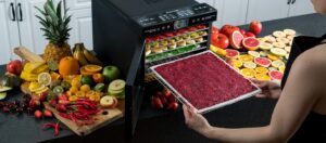 Рейтинг лучших конвективных электросушилок для овощей, фруктов и грибов на 2025 год