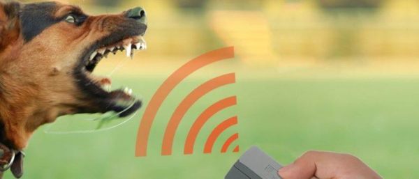 Топ-10 лучших отпугивателей собак, как выбрать отпугиватель Топ-10 лучших отпугивателей собак, как выбрать отпугиватель