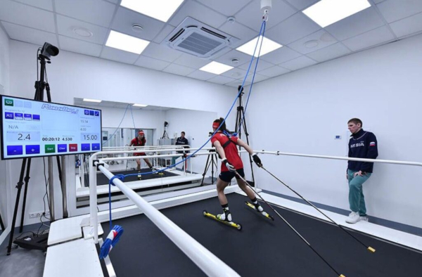 Рейтинг лучших тренажеров для лыжников на 2025 год