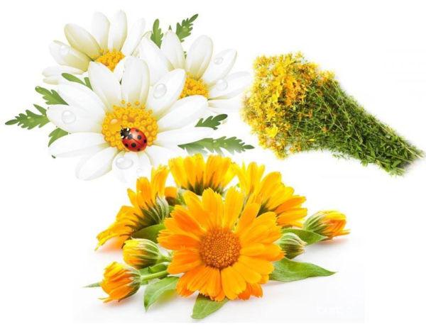 Лучшие средства и кремы при обветривании лица на 2026 год Лучшие средства и кремы при обветривании лица на 2026 год