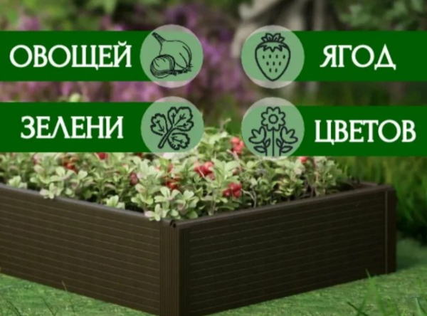 Рейтинг лучших готовых грядок и садовых ограждений для огорода на 2025 год